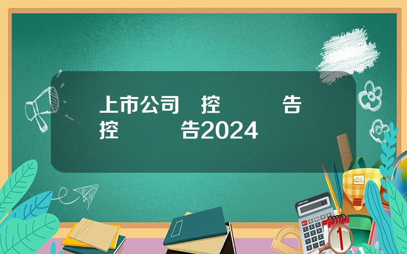 上市公司內控讅計報告 內控讅計報告2024